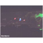 The ride at Nemo's Undersea Adventure