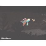 The ride at Nemo's Undersea Adventure