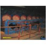 Clamobiles at Nemo's Undersea Adventure