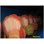 Clamobiles at Nemo's Undersea Adventure