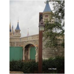 Enchanted Tales with Belle