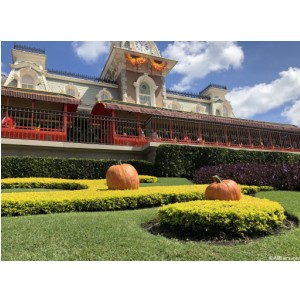 Halloween at the Magic Kingdom
