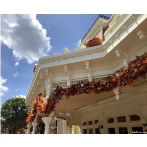 Halloween at the Magic Kingdom