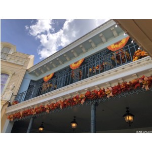 Halloween at the Magic Kingdom