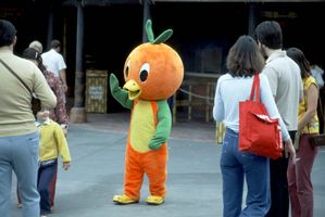 The Orange Bird in the Magic Kingdom