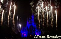 Wishes