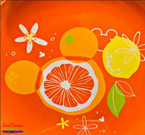 Mickey Mouse Florida Sunshine