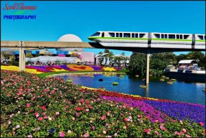 Monorail Transportation