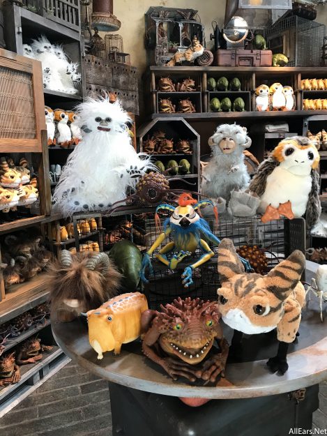 Eight Souvenirs You Had No Idea You Could Get at Disney World 