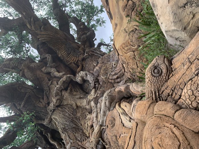 Tree of Life Carvings