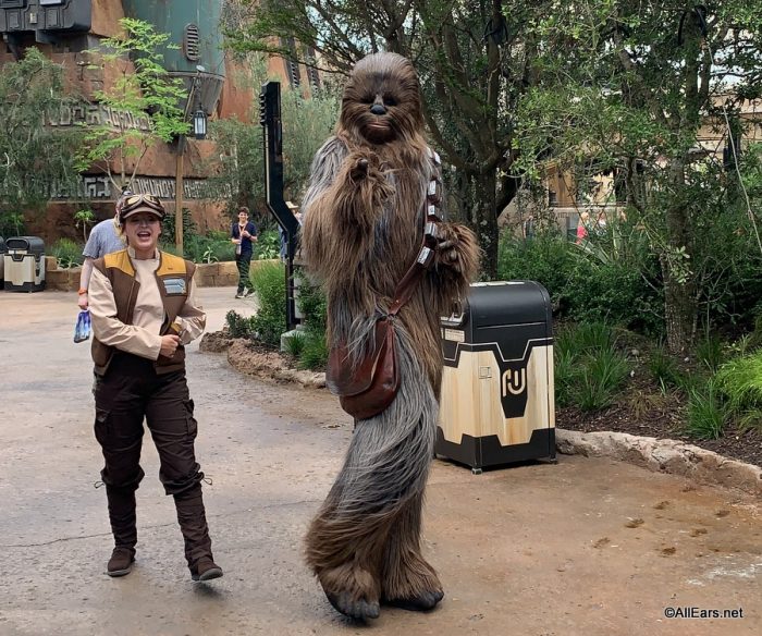 Chewbacca in Galaxy’s Edge