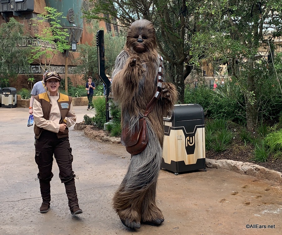 Where to find Chewbacca at Walt Disney World - AllEars.Net