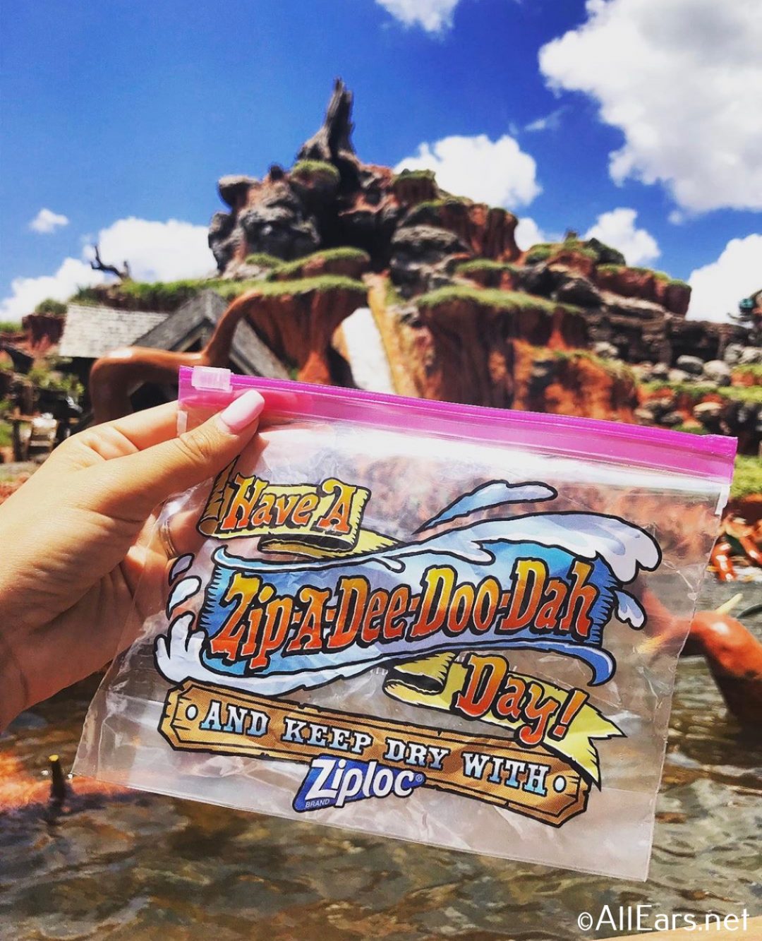 News: Disney Branded Ziploc Bags Distributed at Splash Mountain in Disney  World and Disneyland