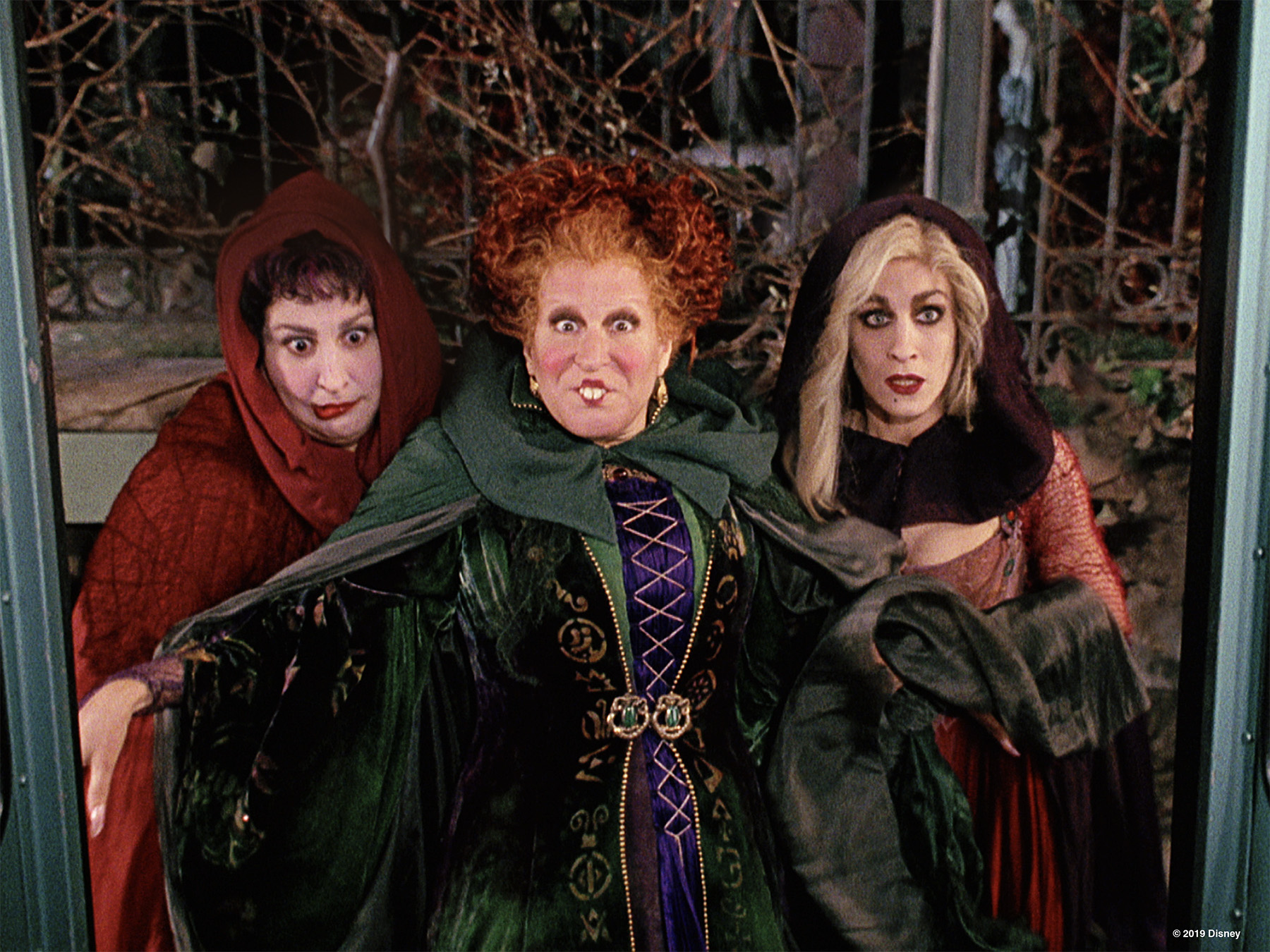 The Sanderson Sisters Have Flown Into Starbucks With Three Hocus Pocus