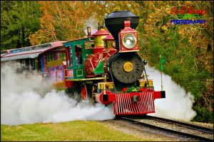 Roy O Disney Steam Train