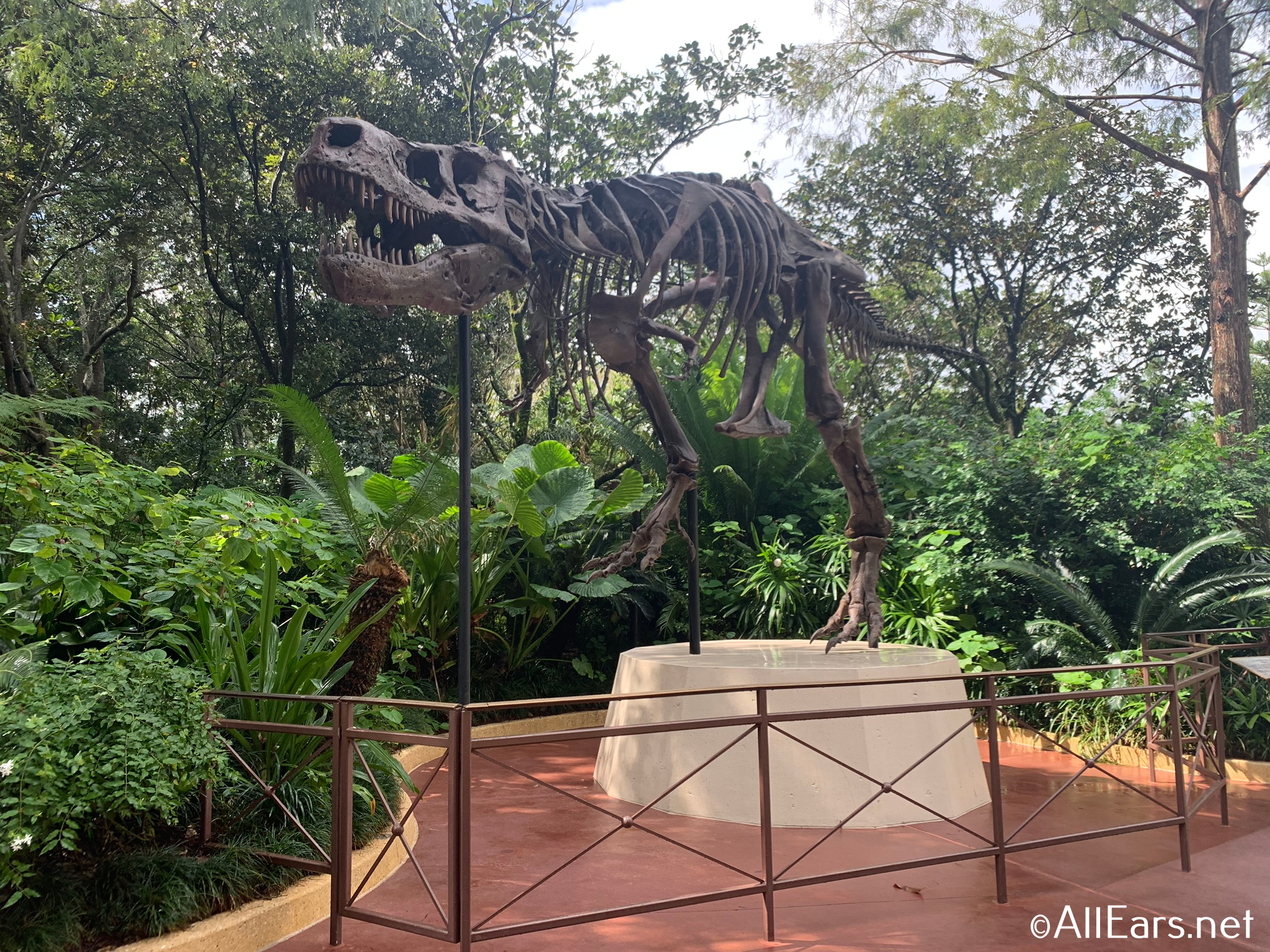 8 Totally Cool Things About Dino-Sue At Walt Disney World - Disney Dining