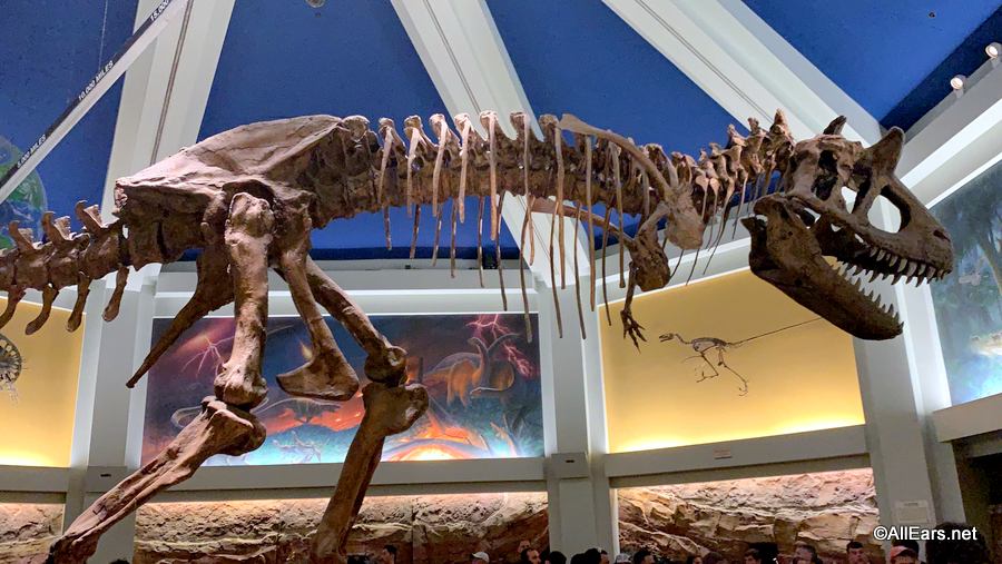 Dino-Sue, Animal Kingdom Attractions