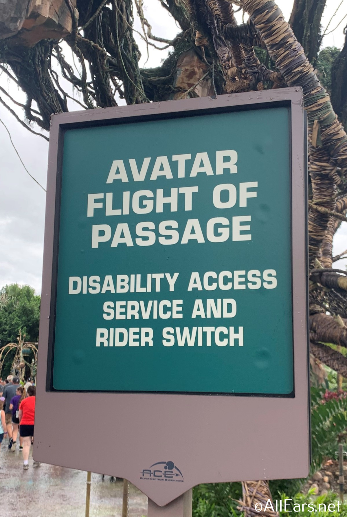 Walt Disney World's Rider Switch - AllEars.Net