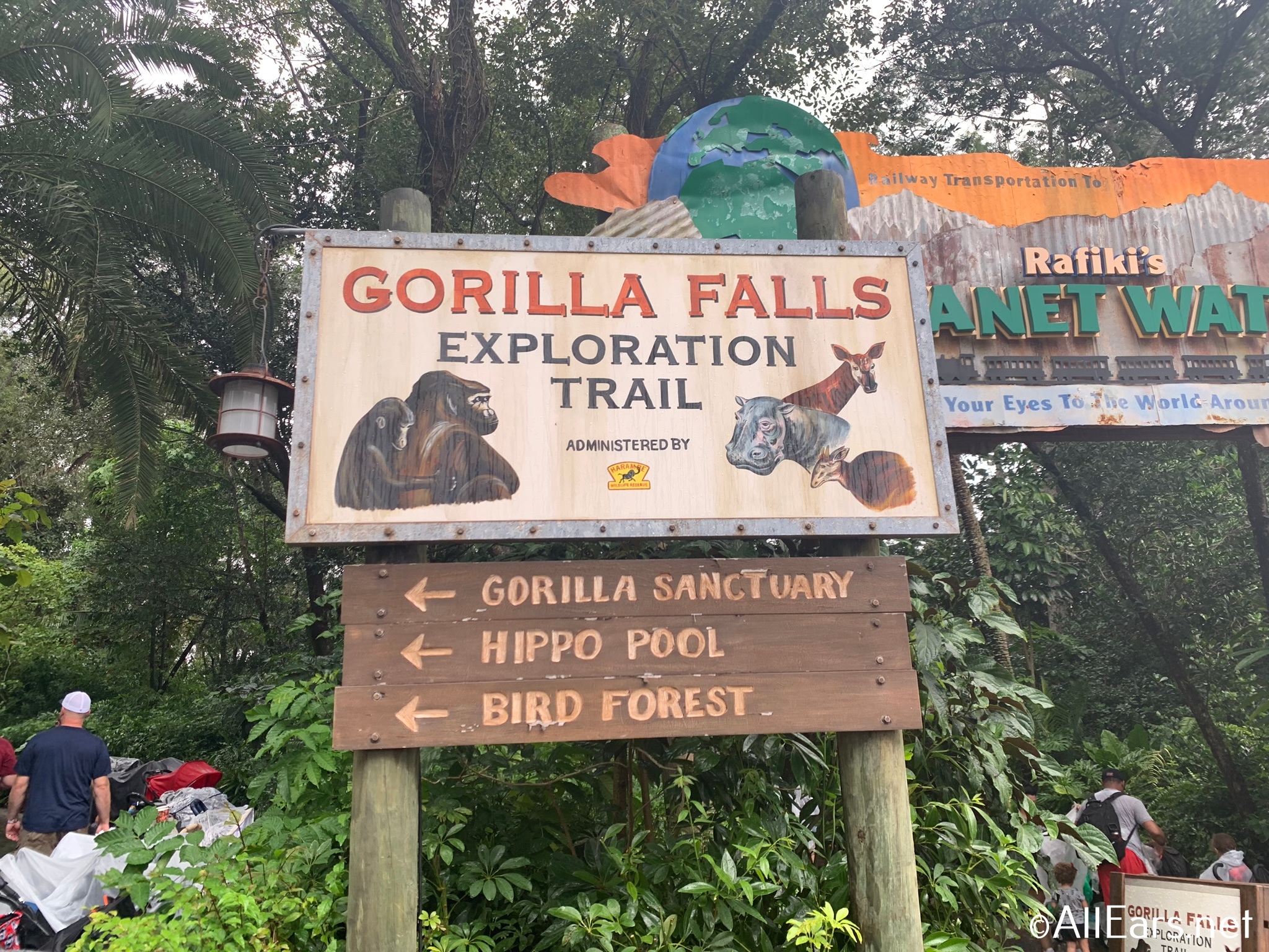 gorilla trek disney world