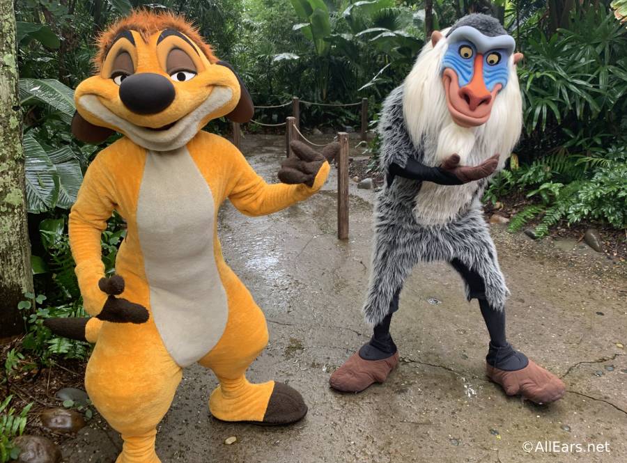 There's a New Timon and Rafiki Meet and Greet in Animal Kingdom -  