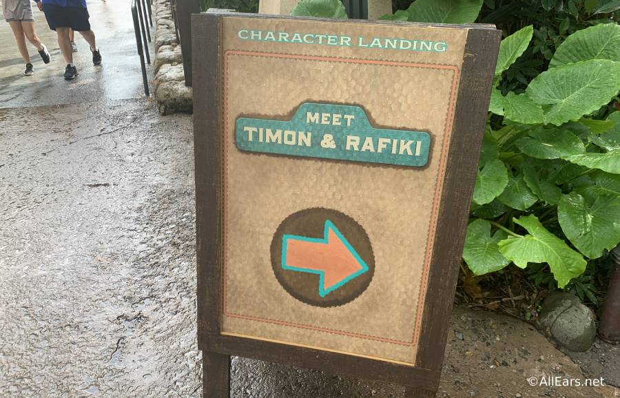 There's a New Timon and Rafiki Meet and Greet in Animal Kingdom -  