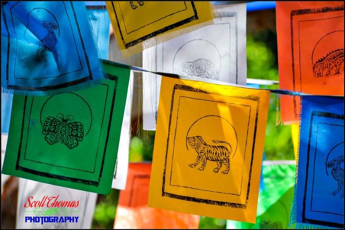 Expedition Everest Prayer Flags