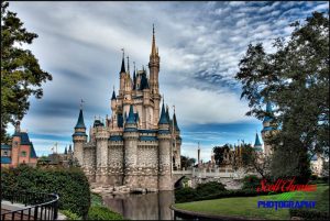 Cinderella Castle Profile