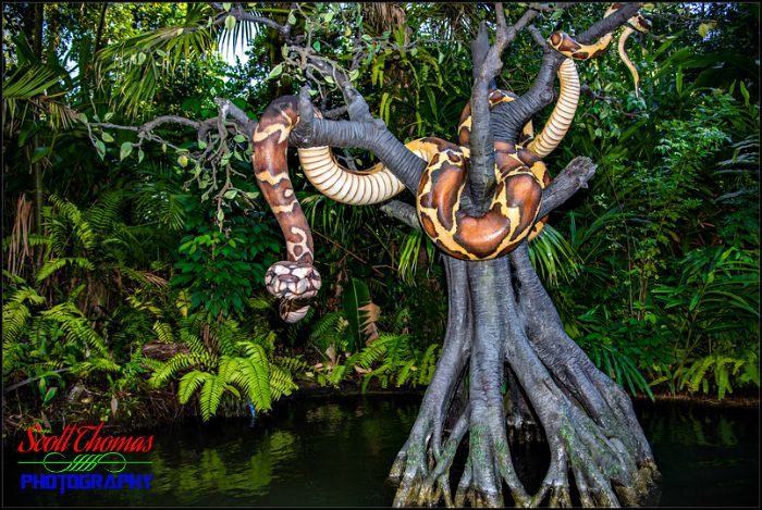 Jungle Cruise Python