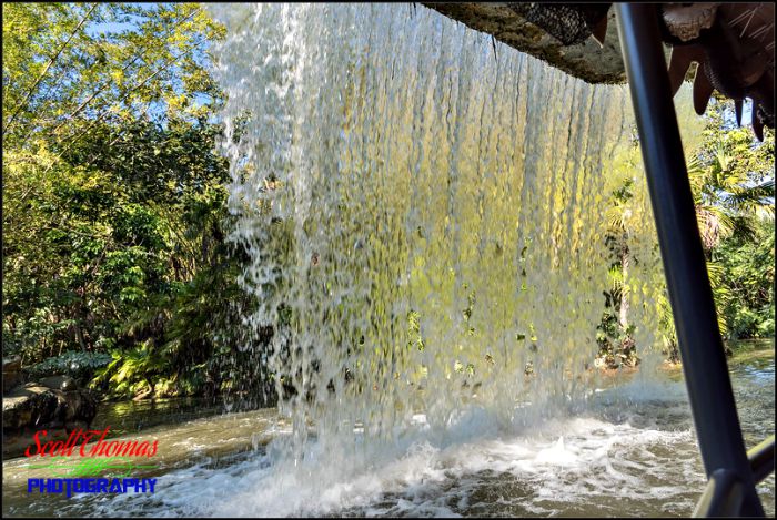 Jungle Cruise Backside of Water