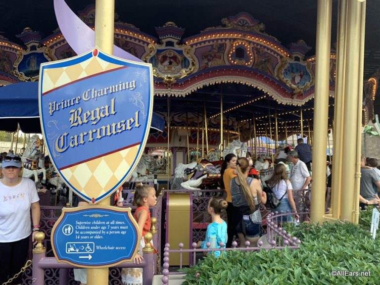 Ultimate Magic Kingdom vs. Disneyland Park Showdown