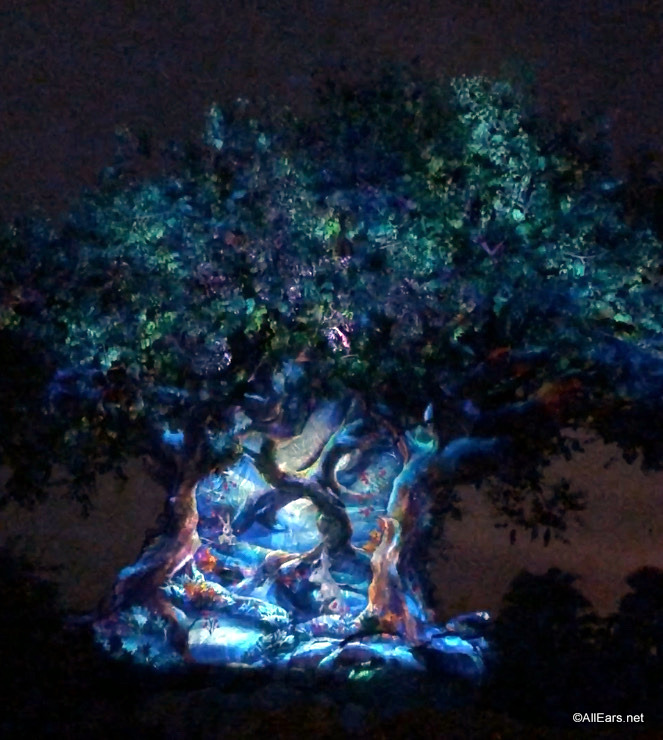 Tree of Life - Disney's Animal Kingdom 