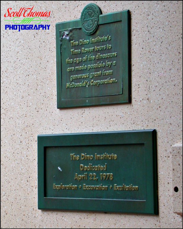 Dinosaur Plaque