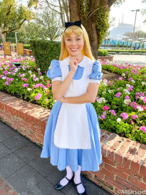 Alice in Wonderland Character Meet and Greet Magic Kingdom - AllEars.Net