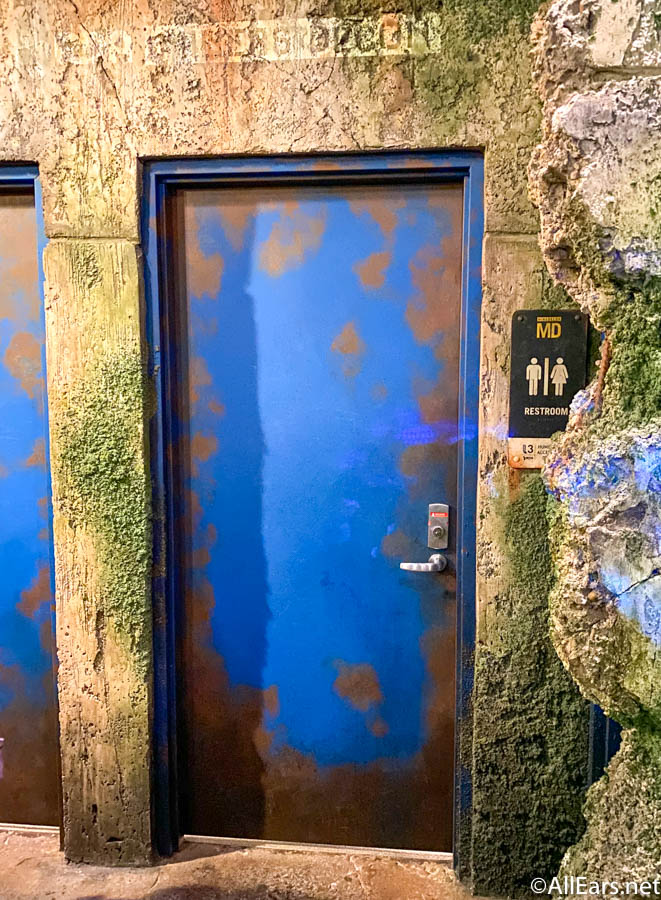 Pandora The World of Avatar Disney's Animal Kingdom