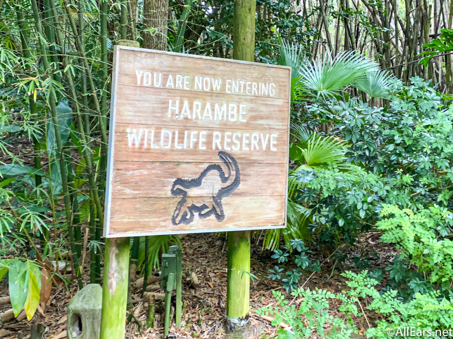 kilimanjaro safaris animal kingdom price