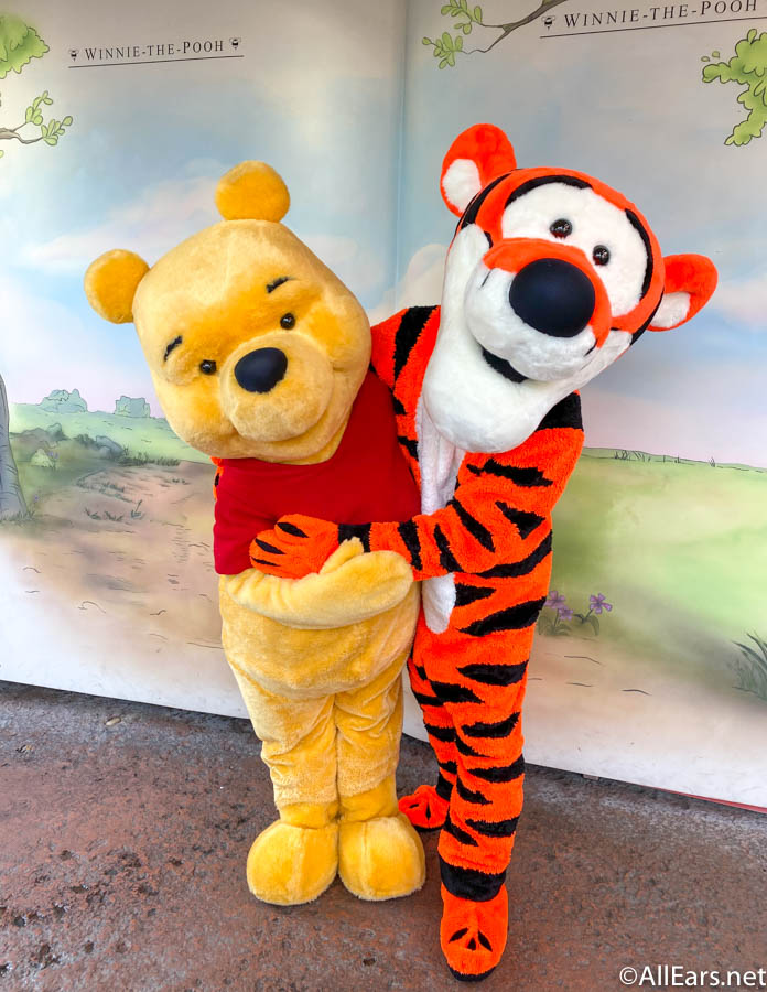 Many Adventures of Winnie the Pooh Magic Kingdom 