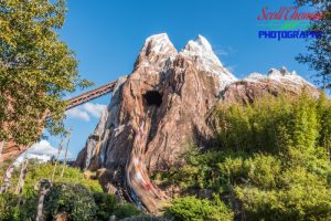 Expedition Everest with a Slow Shutter