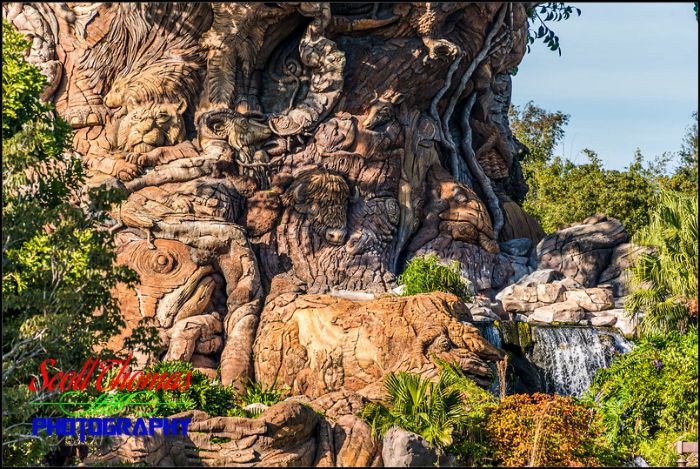 Tree of Life at 300mm
