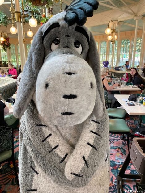 Meet Eeyore at Crystal Palace.