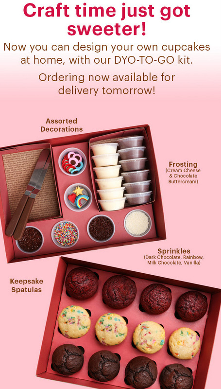 Cupcake Decorating DIY Kit