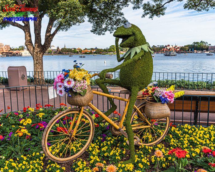 Flower and Garden Festival Kermit Topiary 2020