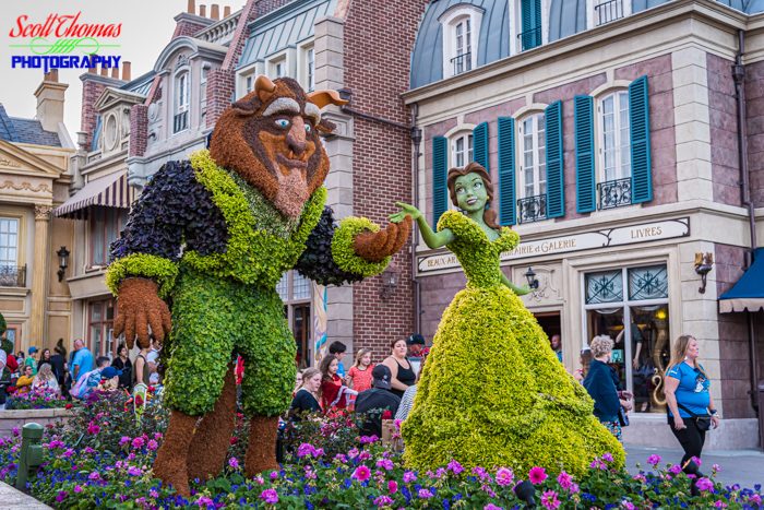 Flower and Garden Festival Beauty and the Beast Topiary 2020