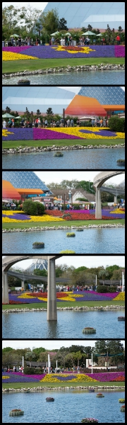 Photos of the Flower and Garden Festival