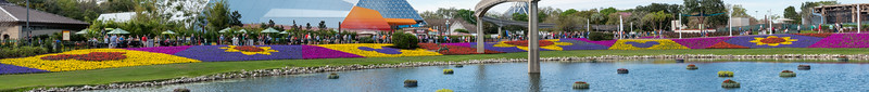 Panorama of the Flower and Garden Festival