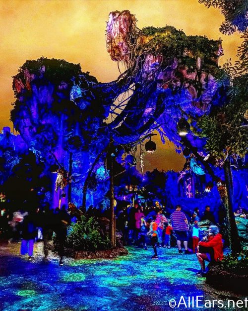 Pandora - The World of Avatar - Disney's Animal Kingdom - AllEars.Net