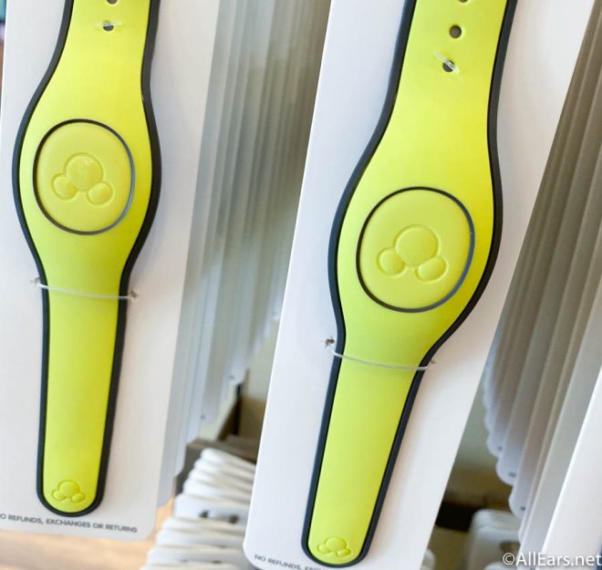 MagicBands at Walt Disney World 