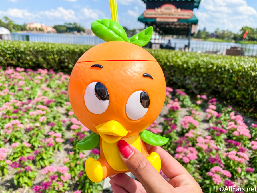 NEW Orange Bird Sipper Coming SOON to Disney World!