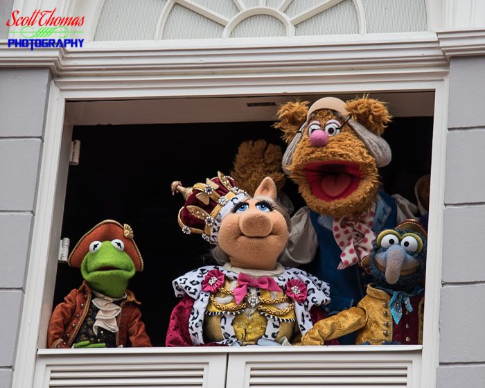 Muppets at the Magic Kingdom