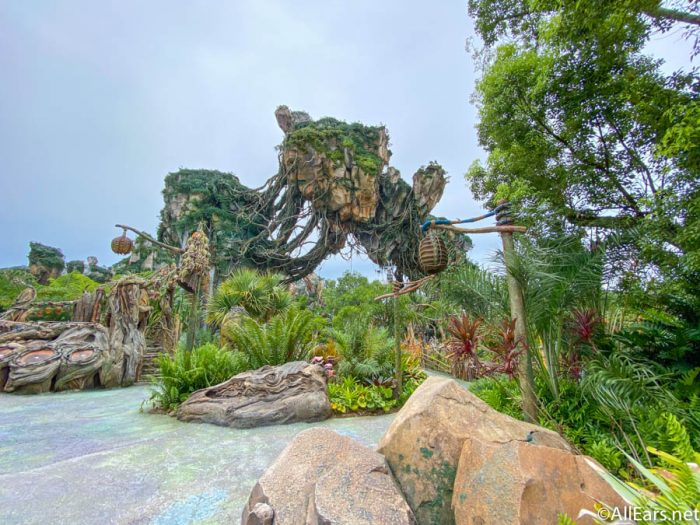 Pandora: The World of Avatar at Disney's Animal Kingdom Theme Park