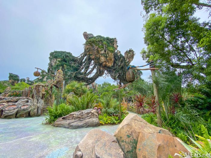 Pandora: The World of Avatar at Disney's Animal Kingdom Theme Park